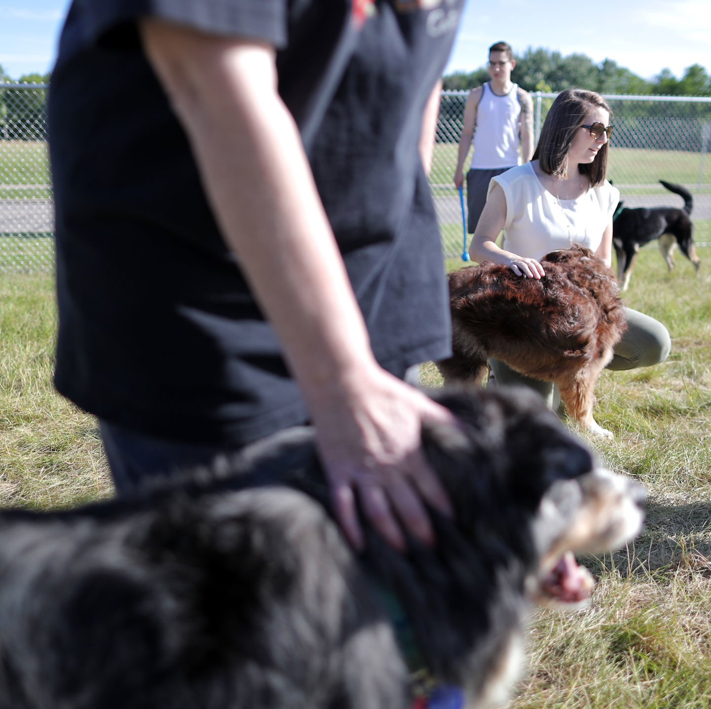 180614_DOGPARK03